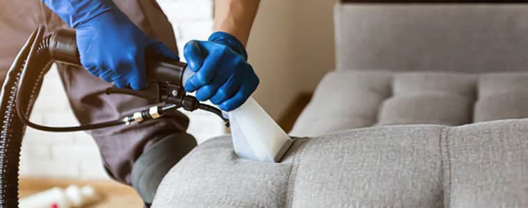 couch cleaning service